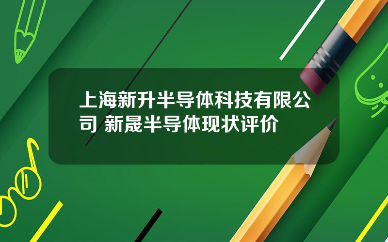 上海新升半导体科技有限公司 新晟半导体现状评价